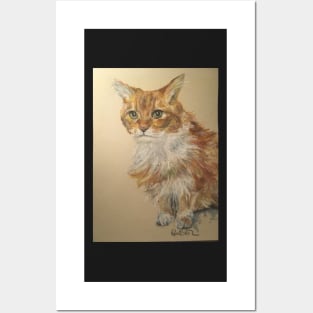 Ginger scruffy tabby cat Posters and Art